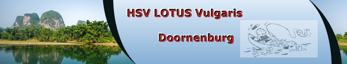 Lotus Vulgaris